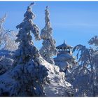 Winterzauber am Waldstein