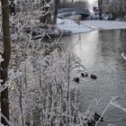 Winterzauber an der Abens