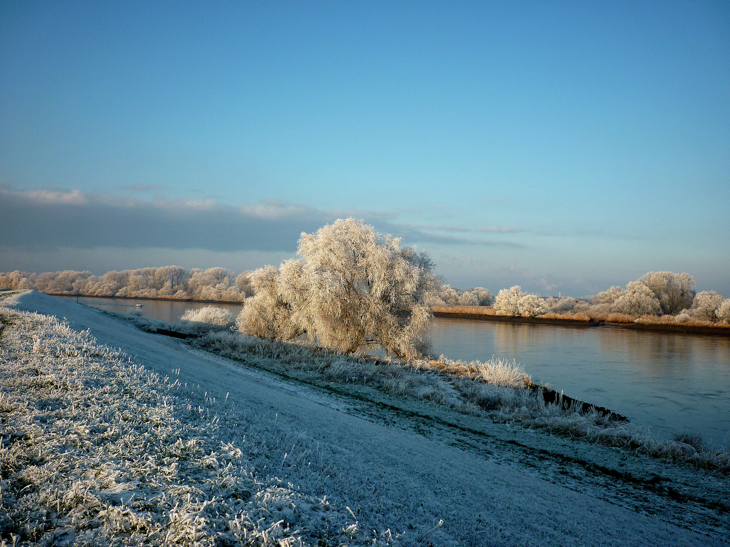 Winterzauber an der Elbe