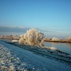 Winterzauber an der Elbe