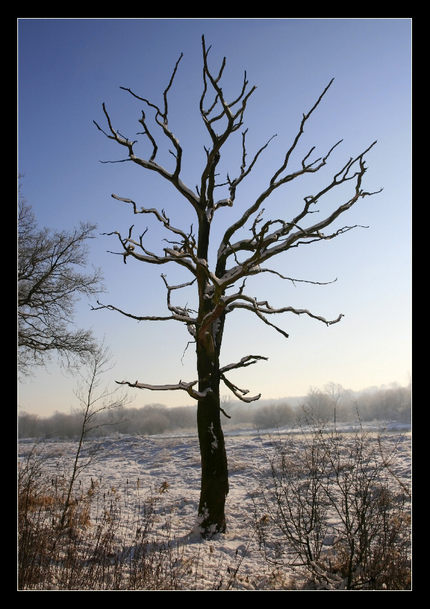 Winterzauber an der Lippe