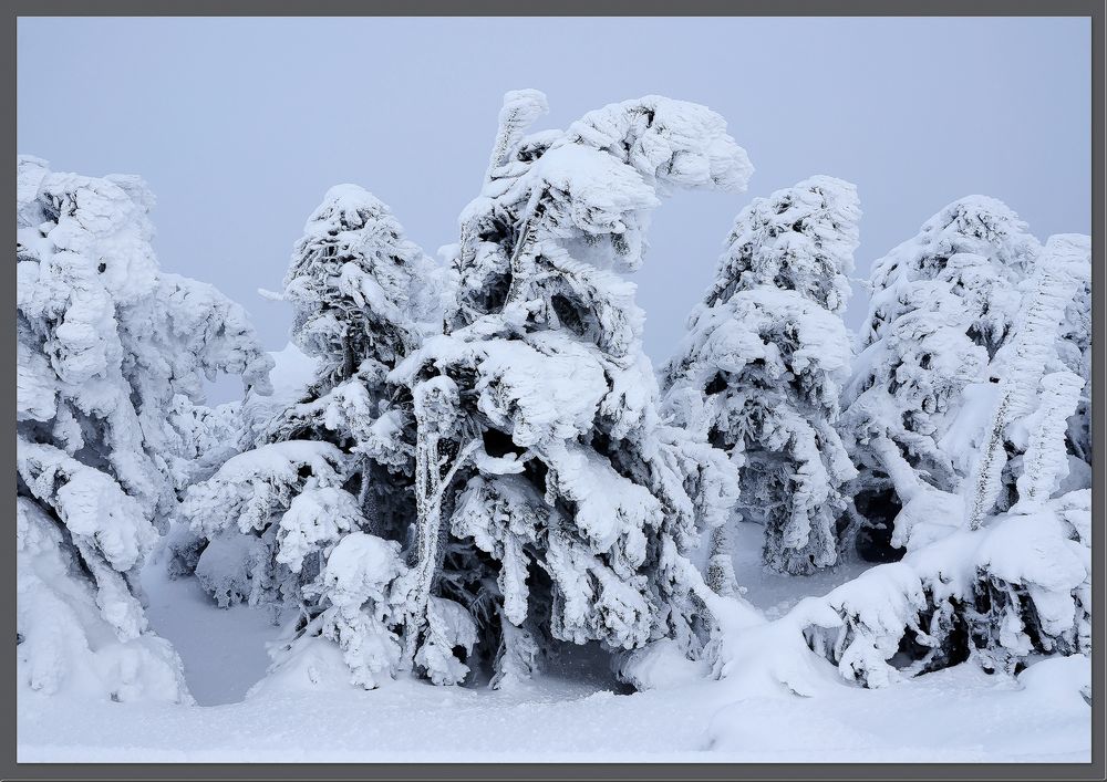 Winterzauber auf dem Brocken