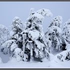 Winterzauber auf dem Brocken