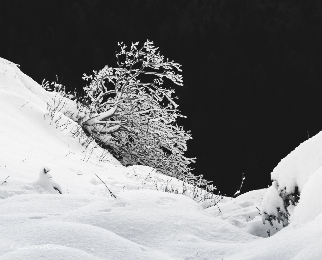 Winterzauber auf dem Creux du Van