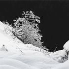 Winterzauber auf dem Creux du Van