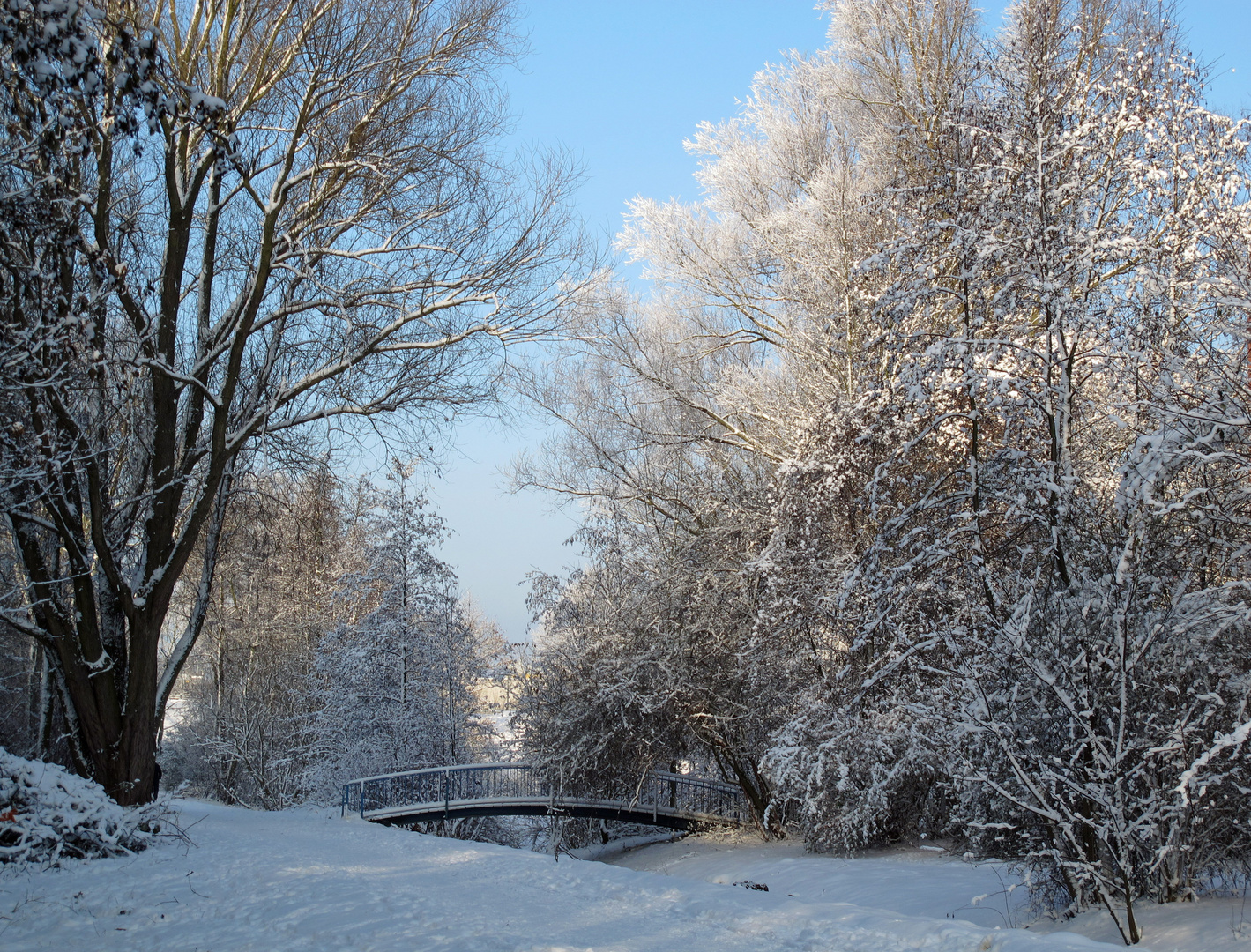 Winterzauber auf der Elbinsel Wilhelmsburg