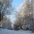 Winterzauber auf der Elbinsel Wilhelmsburg