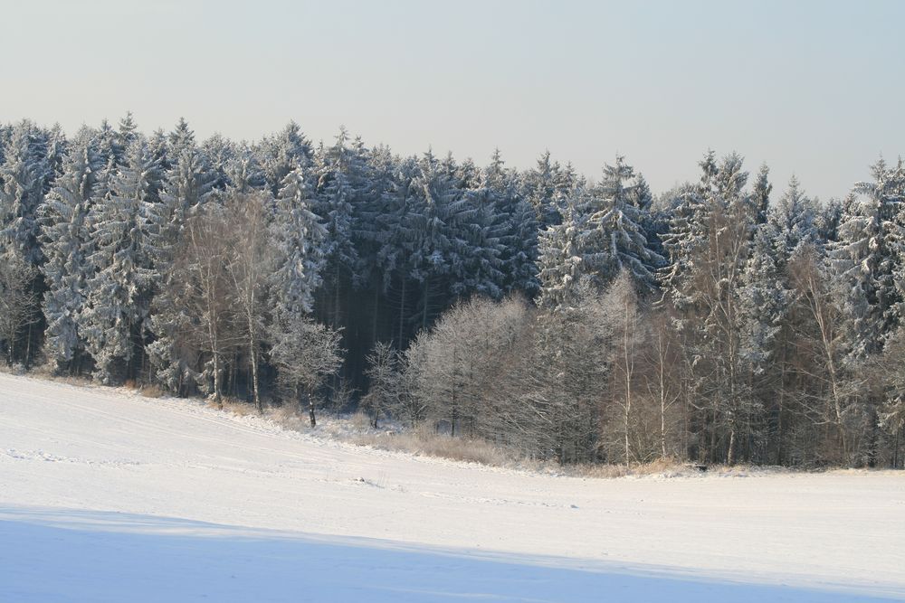 Winterzauber