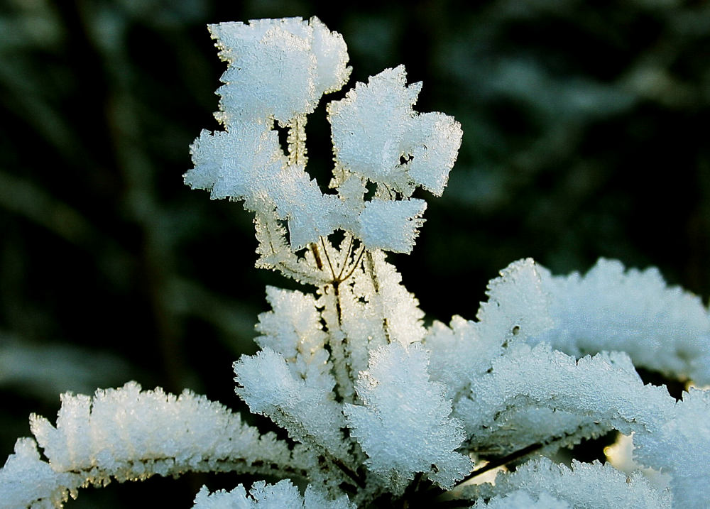 Winterzauber