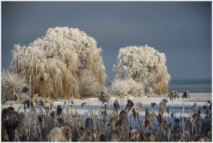 Winterzauber