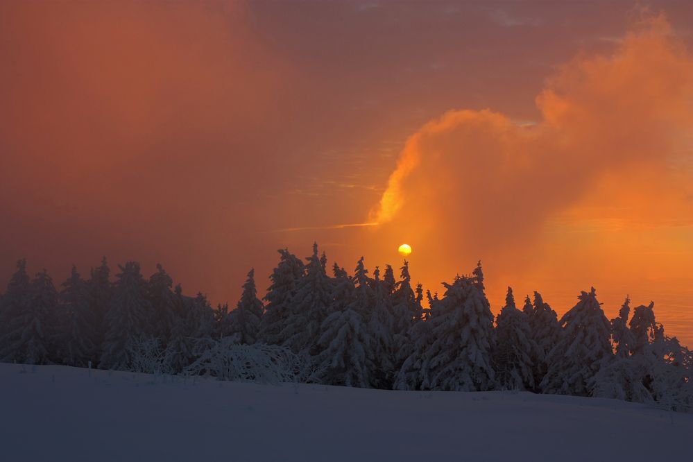 Winterzauber... von Robert Schwendemann 