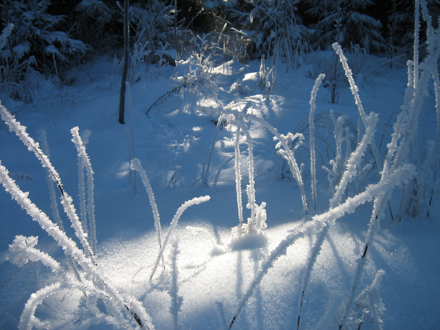 Winterzauber