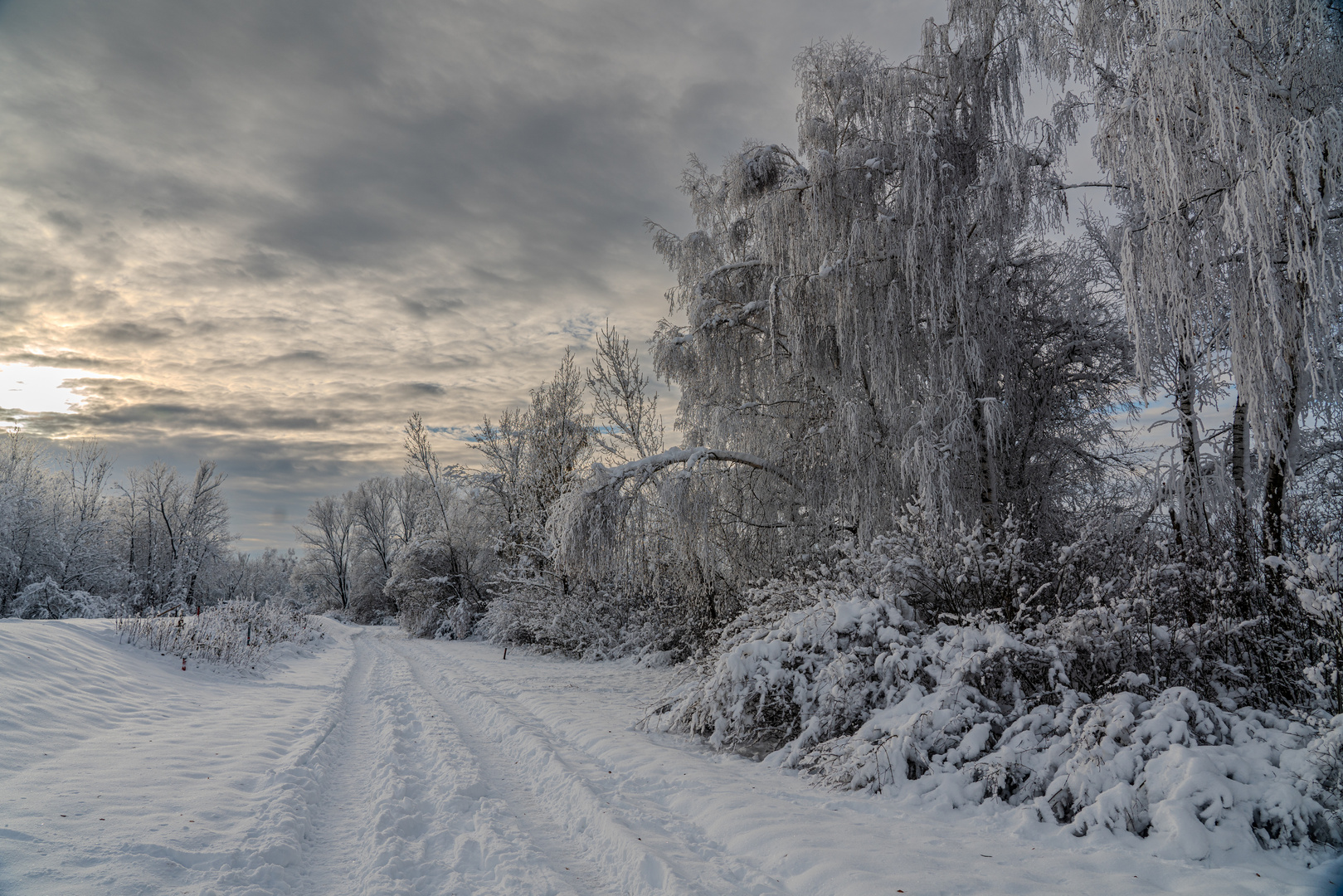 Winterzauber...