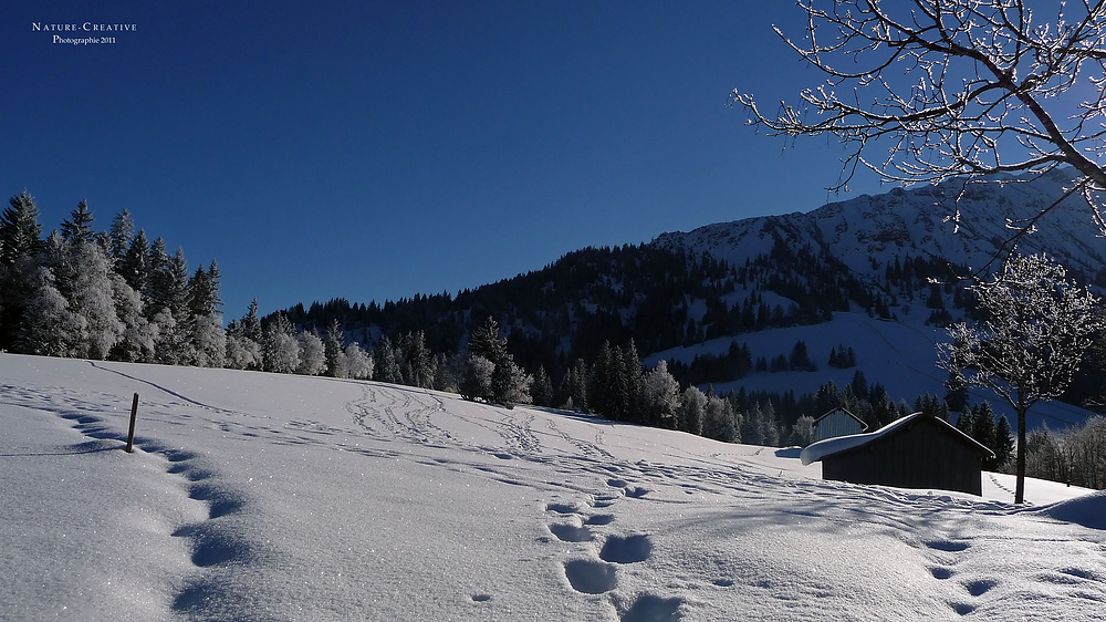 "Winterzauber bei Oberjoch am Iseler"