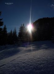 "Winterzauber bei Tannheim in Tirol 1"