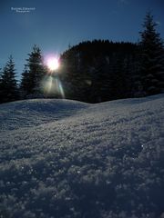 *"Winterzauber bei Tannheim in Tirol 2"