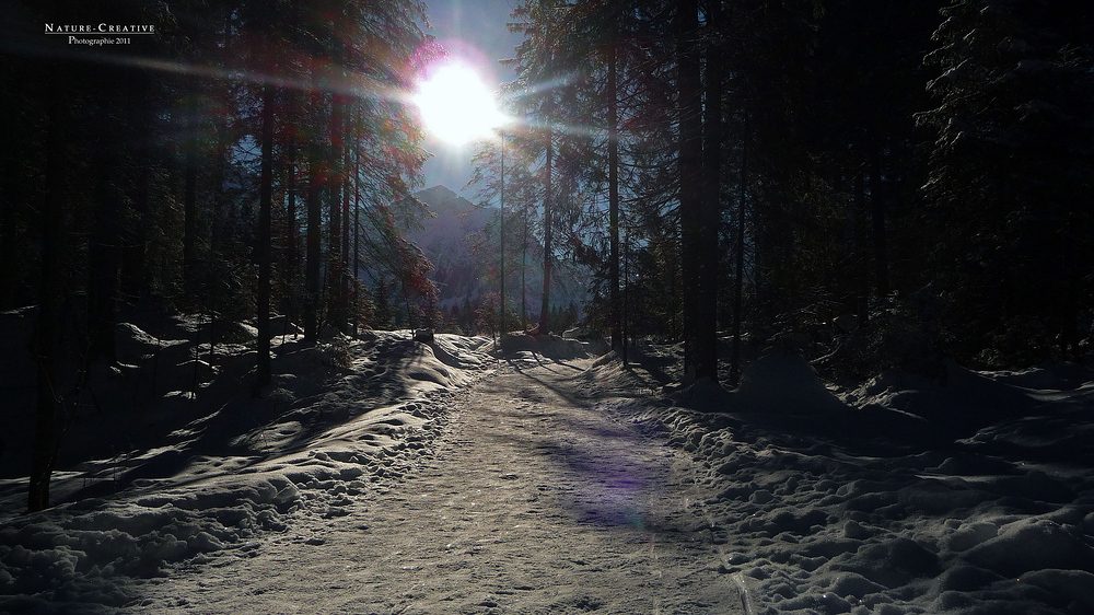 "Winterzauber bei Tannheim in Tirol 3"