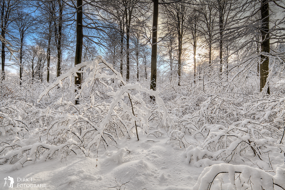 ***Winterzauber***