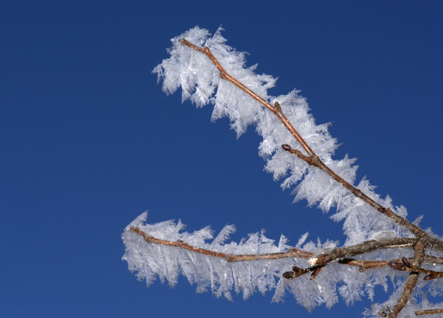 Winterzauber