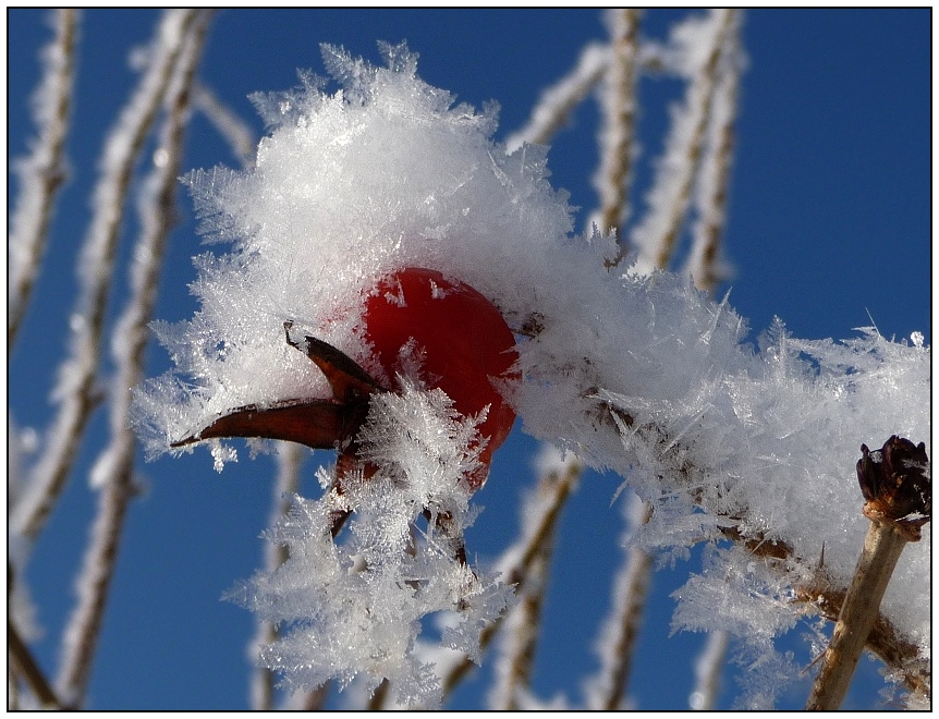 Winterzauber