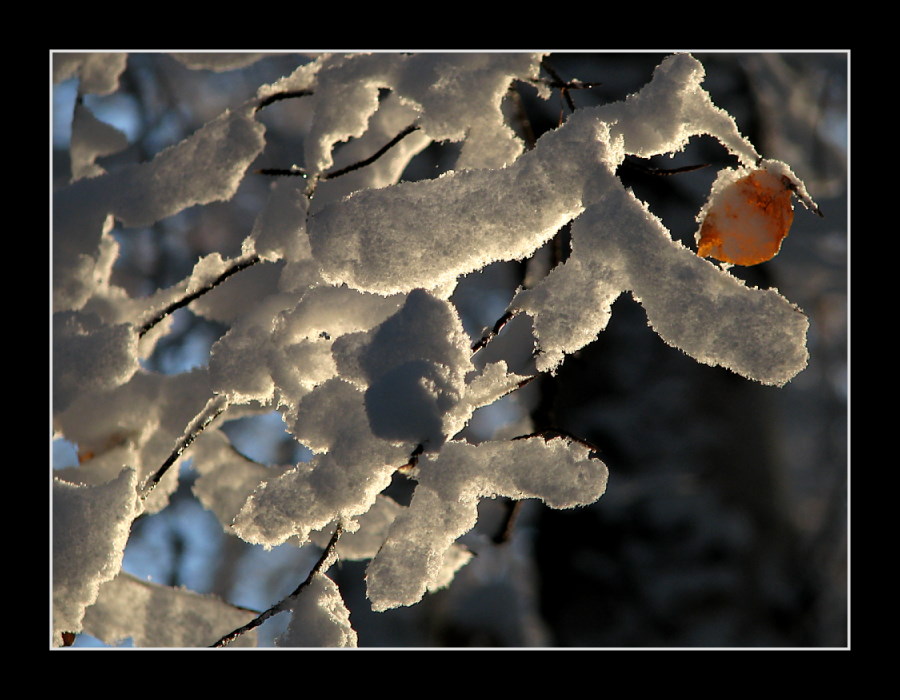 Winterzauber