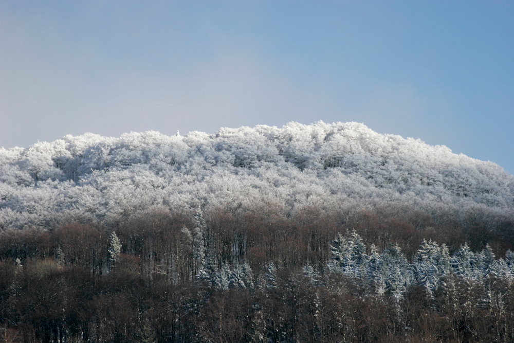 Winterzauber ,das letzte