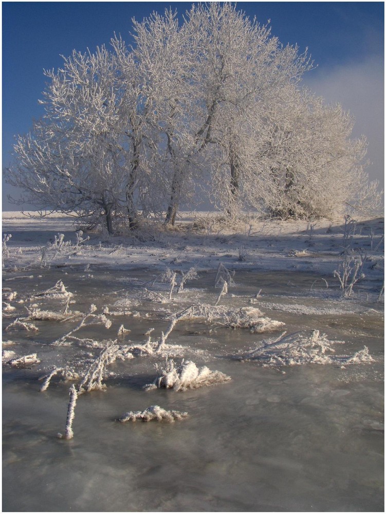 Winterzauber