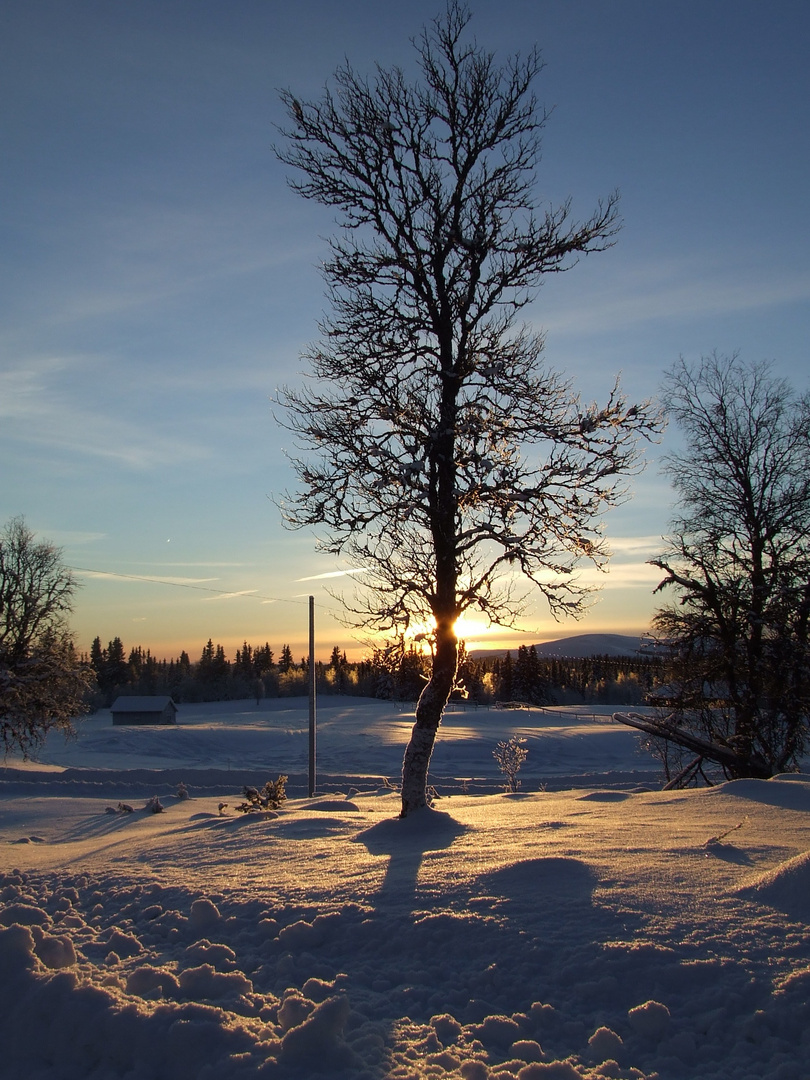 Winterzauber