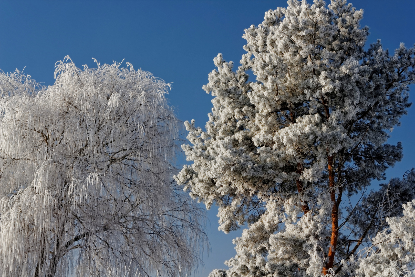 Winterzauber