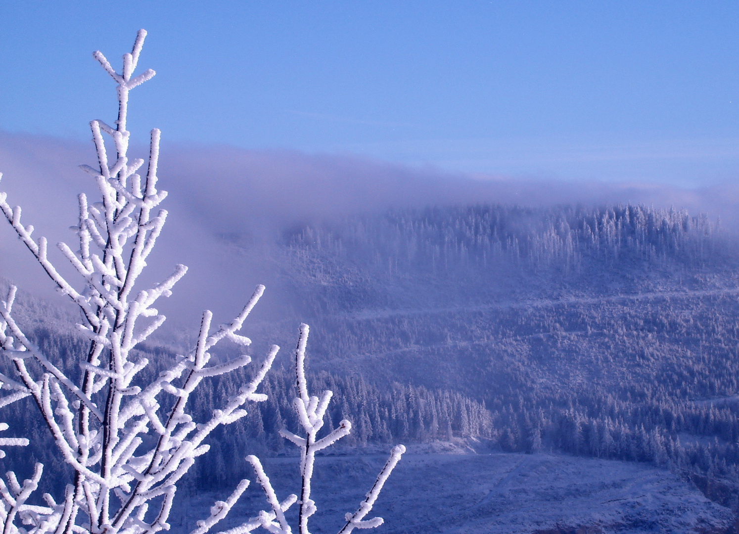 Winterzauber