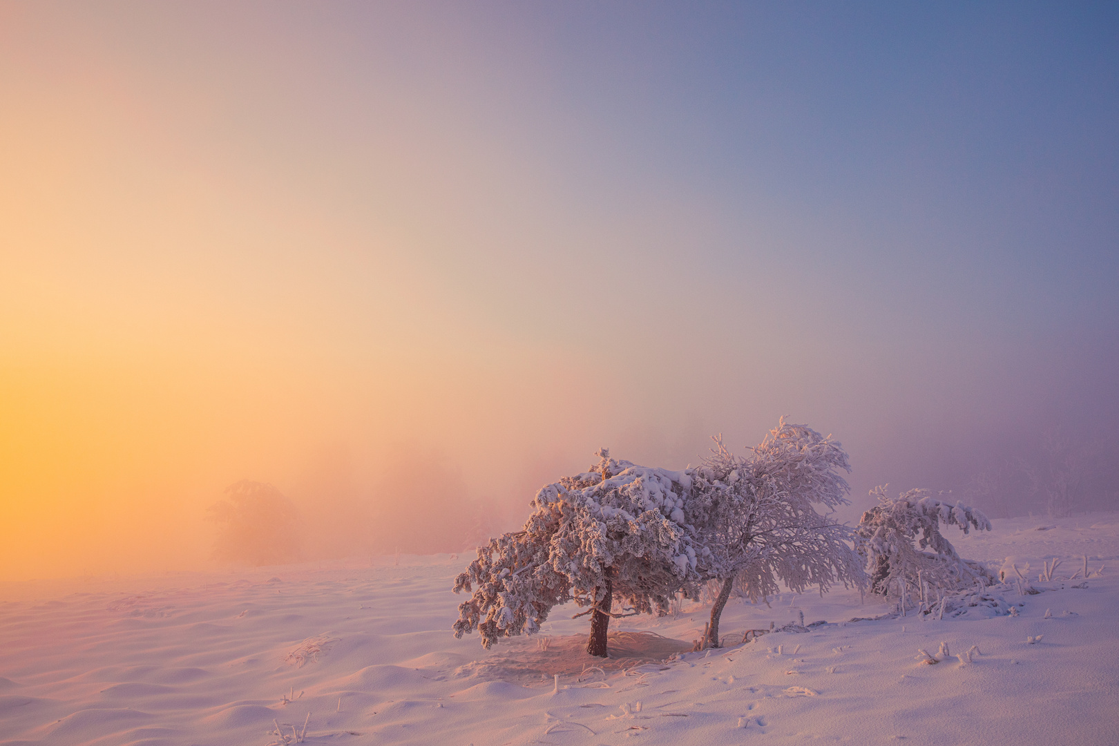 Winterzauber