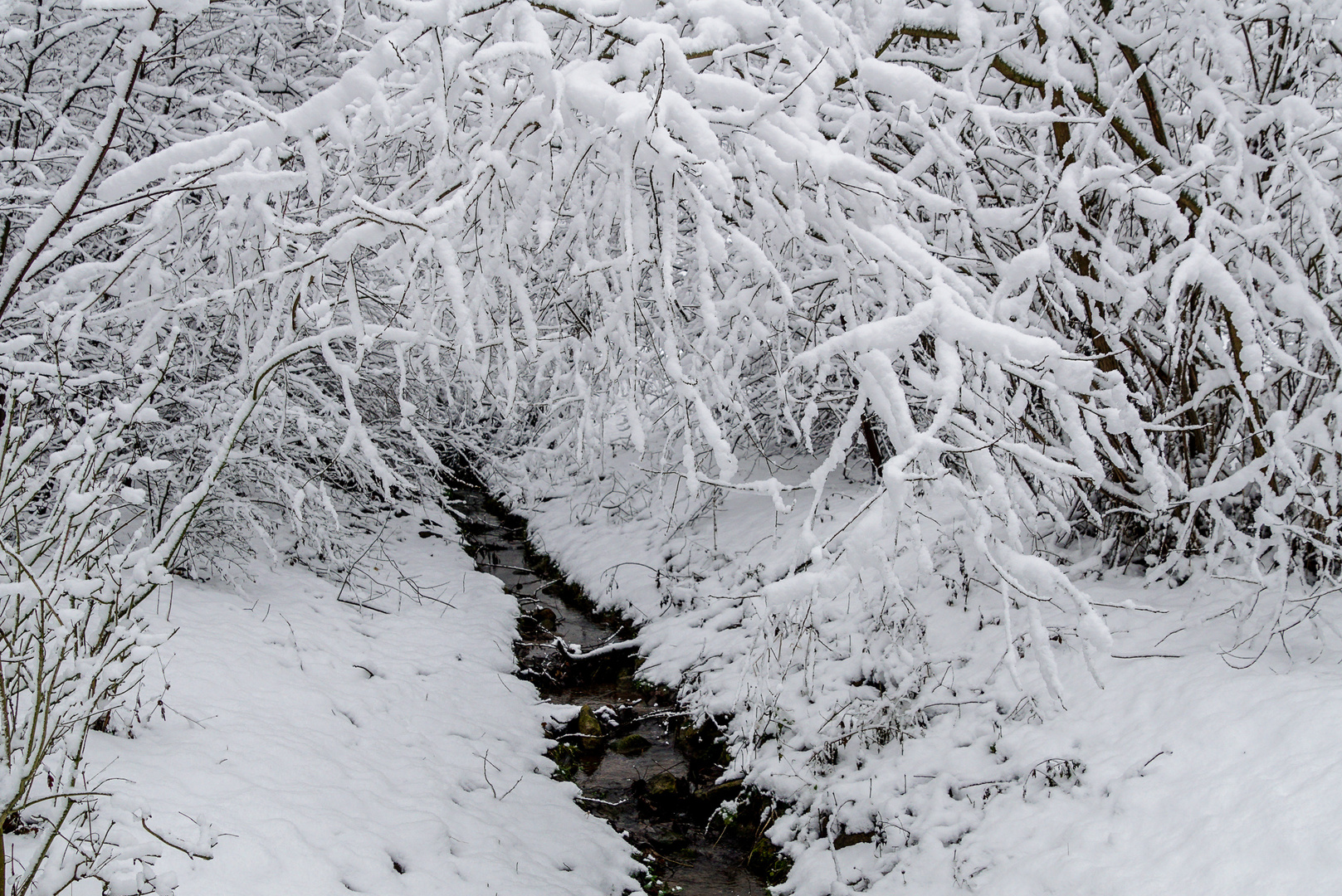 Winterzauber