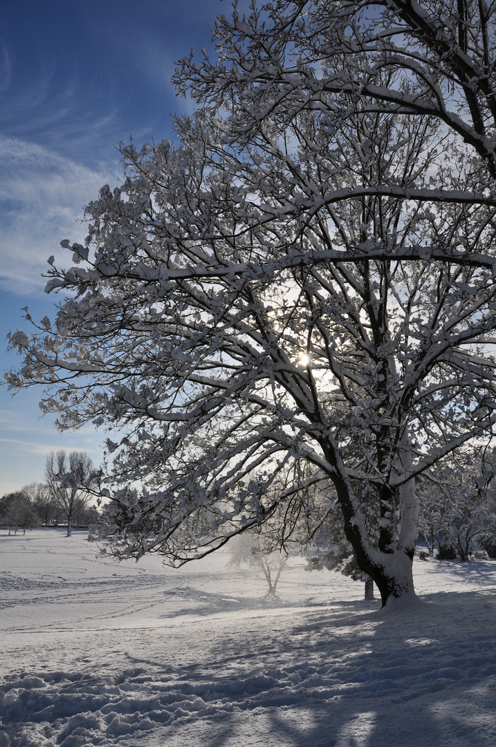 Winterzauber