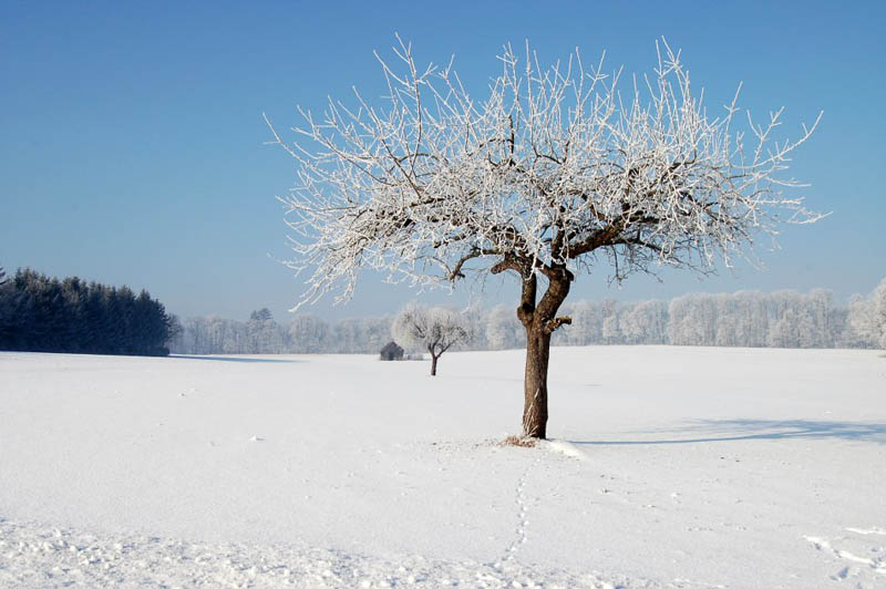 Winterzauber