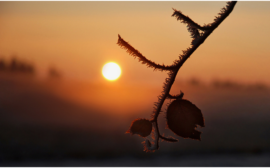 Winterzauber...