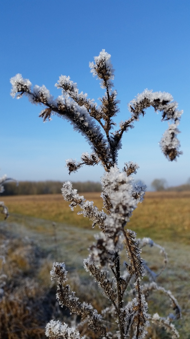 Winterzauber gegen Sonnenschein