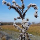 Winterzauber gegen Sonnenschein