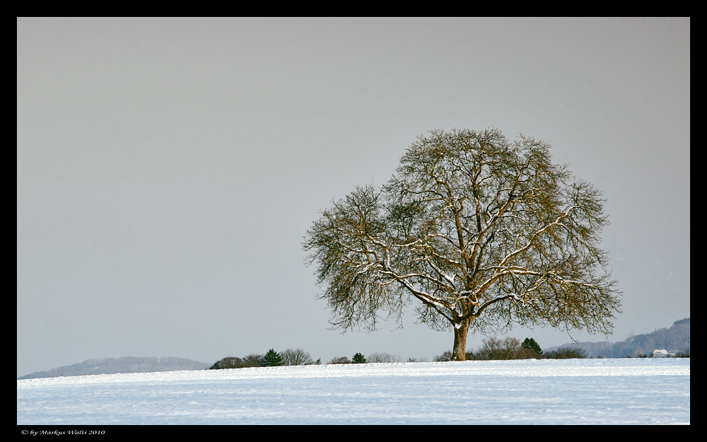 Winterzauber I