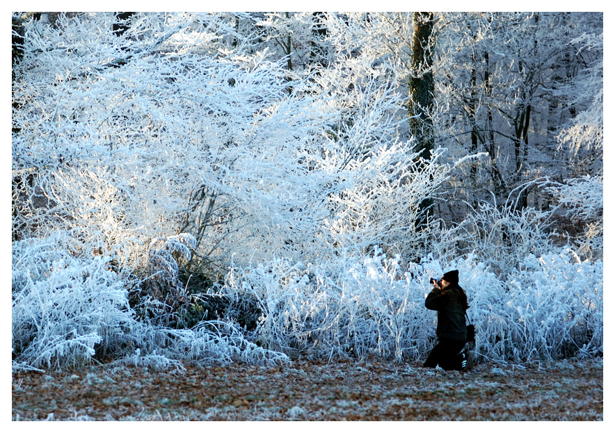 Winterzauber I