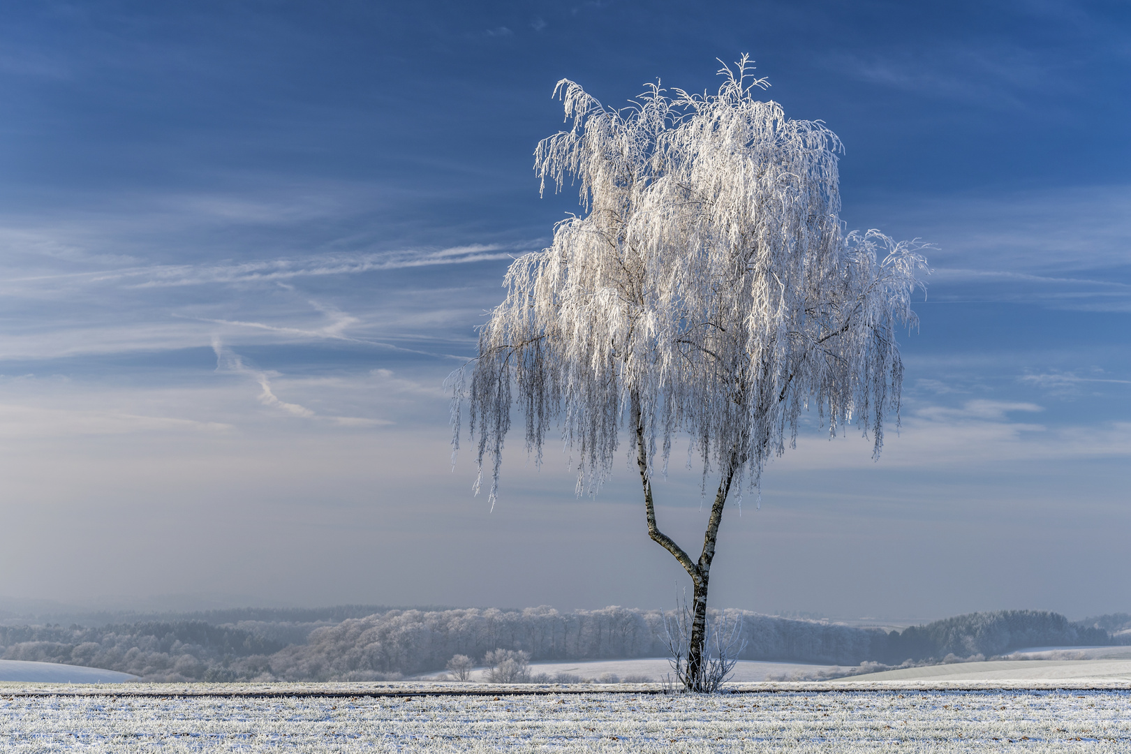 *Winterzauber II*