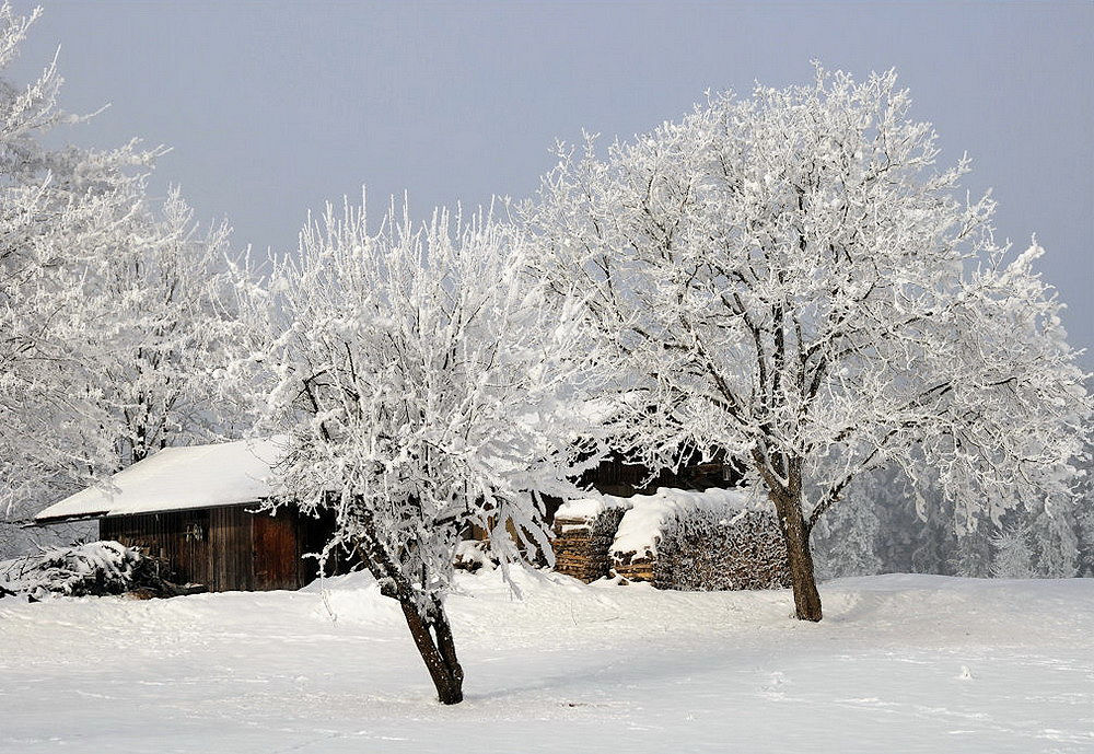 Winterzauber II