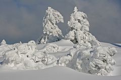 Schwarzwald