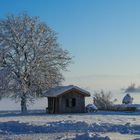 Winterzauber im Ammerland