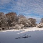 Winterzauber im Bilsteintal