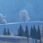 Winterzauber im Gegenlicht