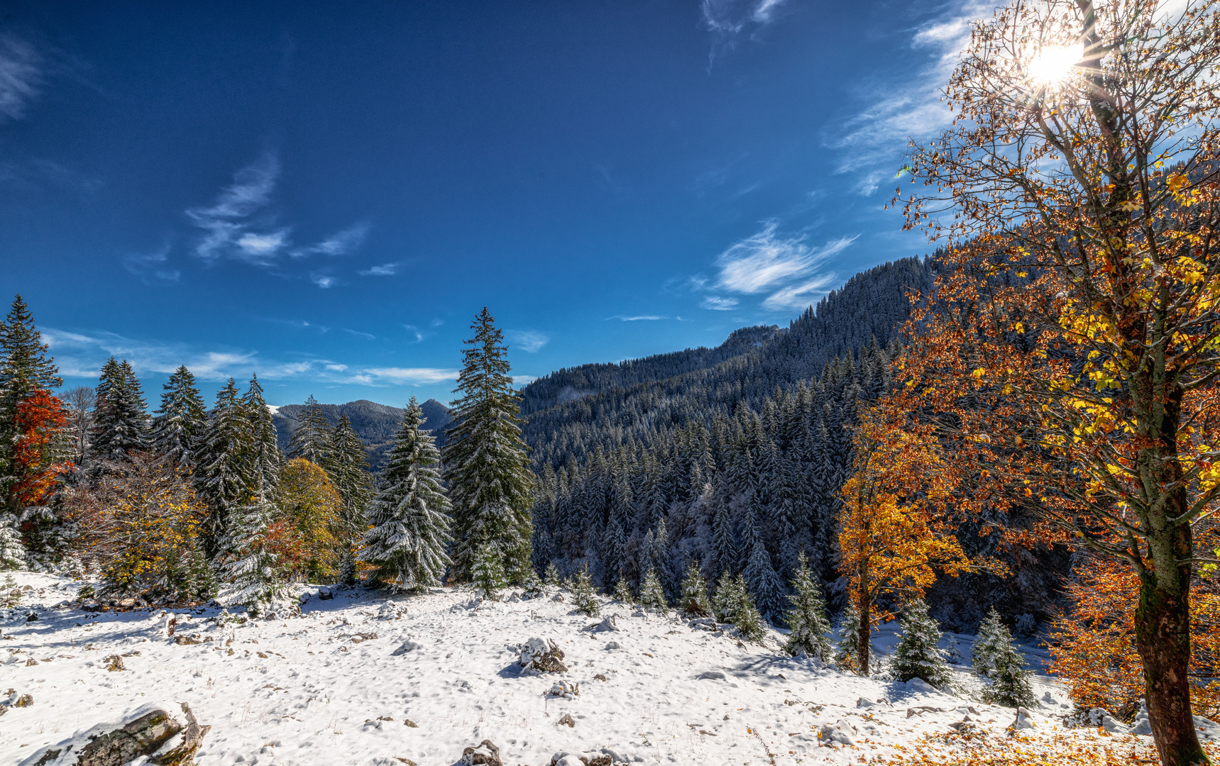 Winterzauber im Herbst