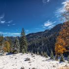 Winterzauber im Herbst