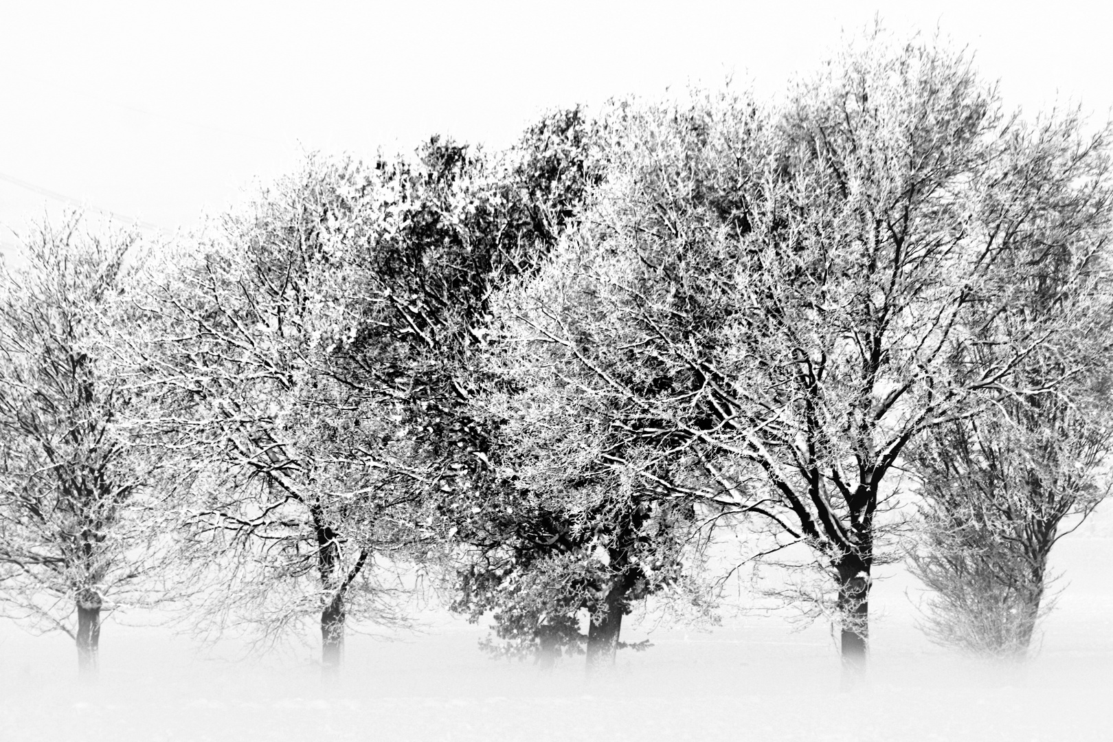 Winterzauber im Nebel