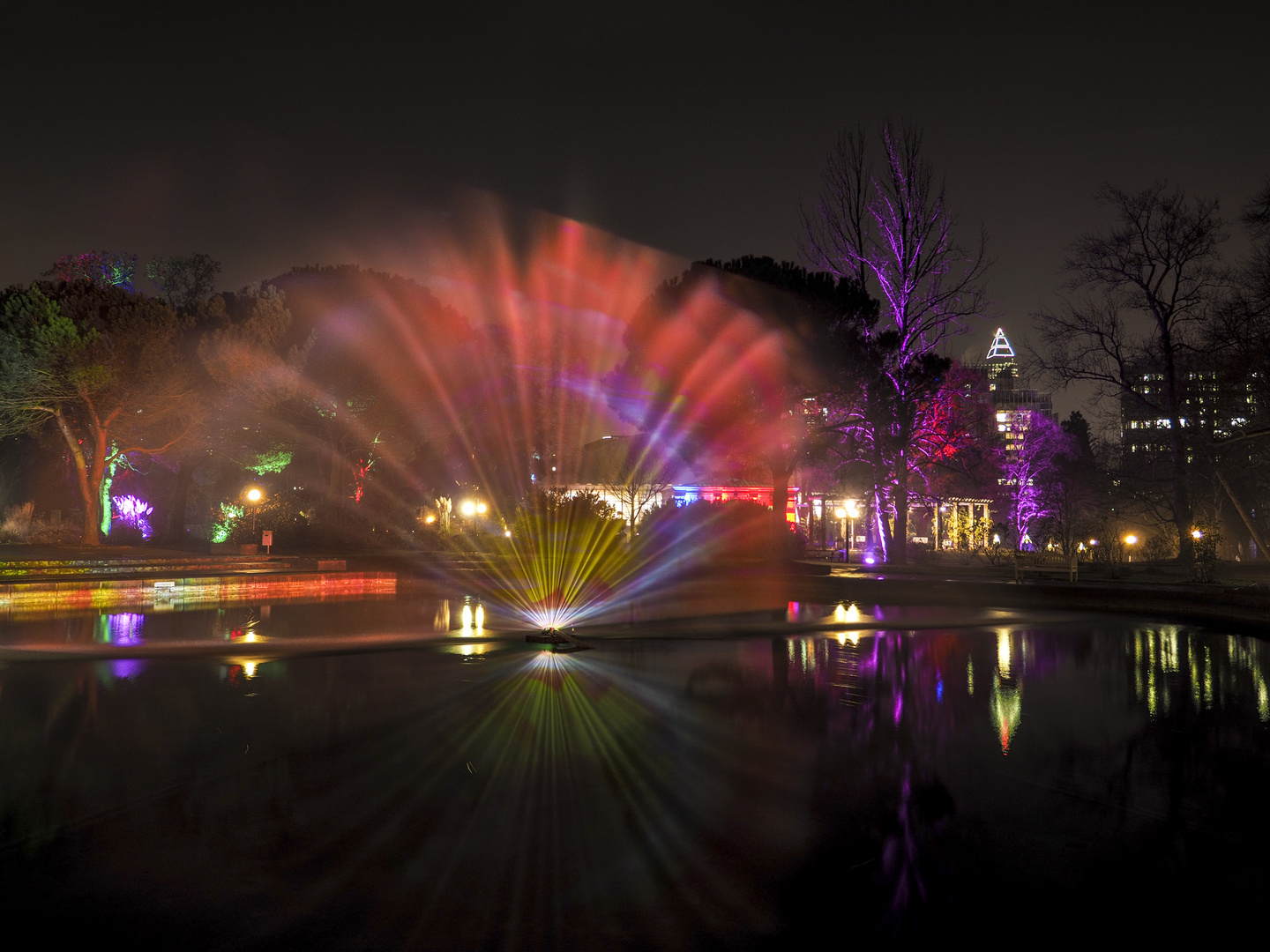 Winterzauber im Palmengarten Frankfurt 1