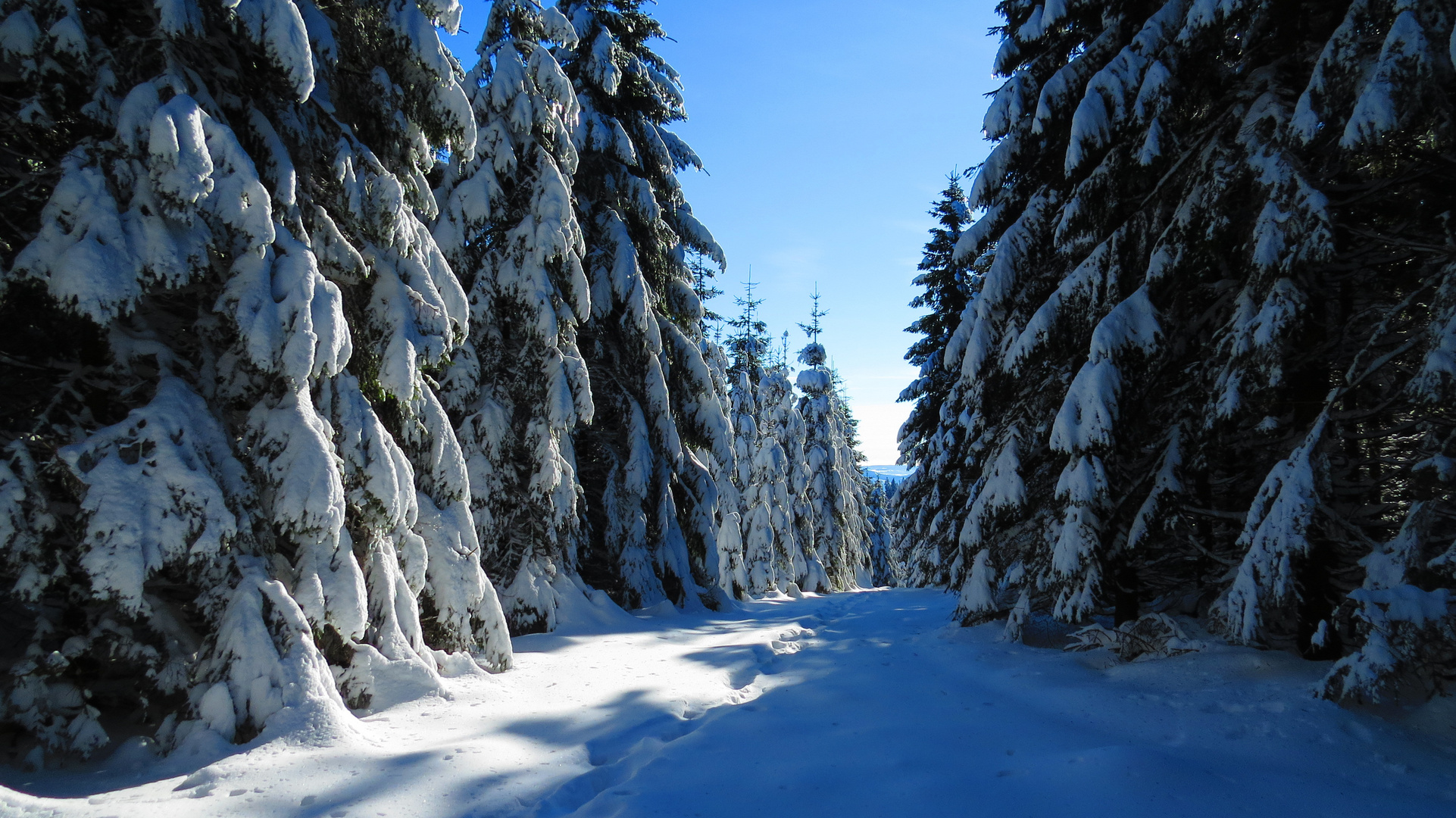 Winterzauber im Sauerland